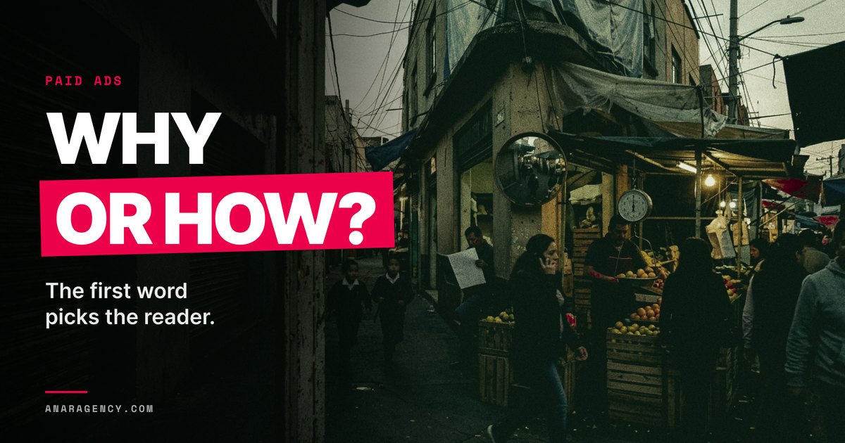 Featured image for the article: WHY OR HOW?. The first word picks the reader.