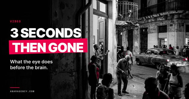 Featured image for the article: 3 SECONDS THEN GONE. What the eye does before the brain.