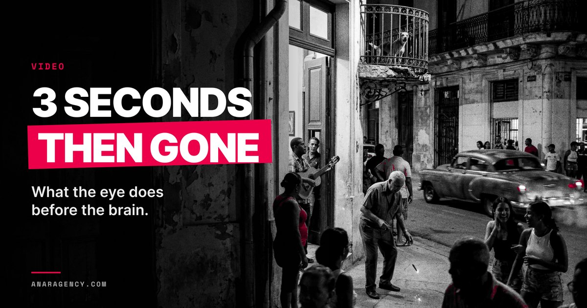 Featured image for the article: 3 SECONDS THEN GONE. What the eye does before the brain.